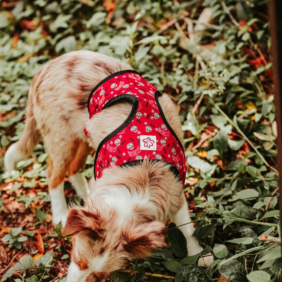 Ohio State Brutus Buckeye Pet Harness - Picture 3 of 16